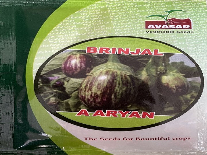 Brinjal Aaryan(Avasar Seeds)