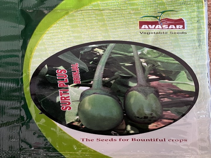 Brinjal Surti Plus (Avasar Seeds)