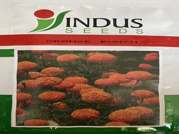 Marigold Orange Bunch (Indus Seeds)