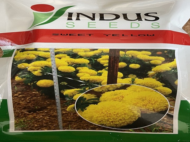 Marigold Sweet Yellow (Indus Seeds)