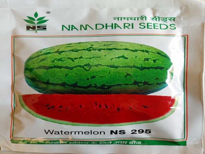Watermelon NS 295 (Namdhari Seeds)