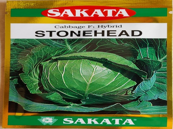 Cabbage Stonehead (Sakata Seeds)