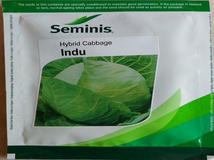 Cabbage Indu (Seminis Seeds)