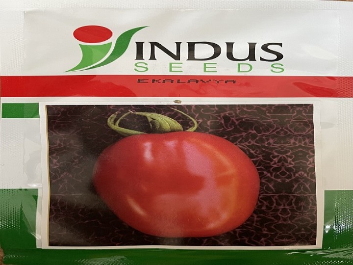 Tomato Eklavya (Indus Seeds)