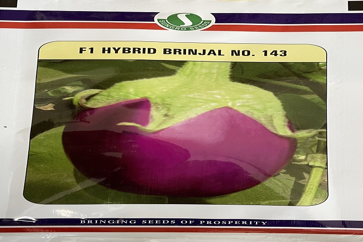 Brinjal No 143 (Sungro Seeds)