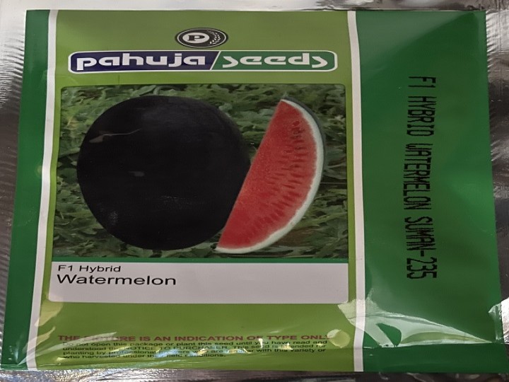 Watermelon Suman 235 (Pahuja Seeds)