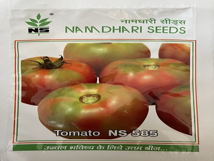Tomato NS 585 (Namdhari Seeds)
