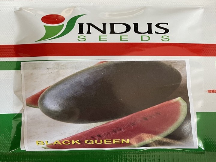 Watermelon Black Queen (Indus Seeds)