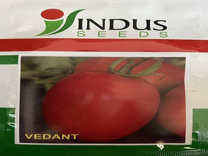 Tomato Vedant (Indus Seeds)