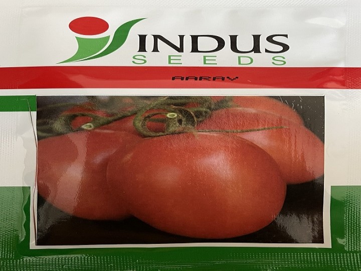 Tomato Aarav (Indus Seeds)