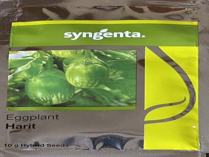 Eggplant Harit (Syngenta Seeds)