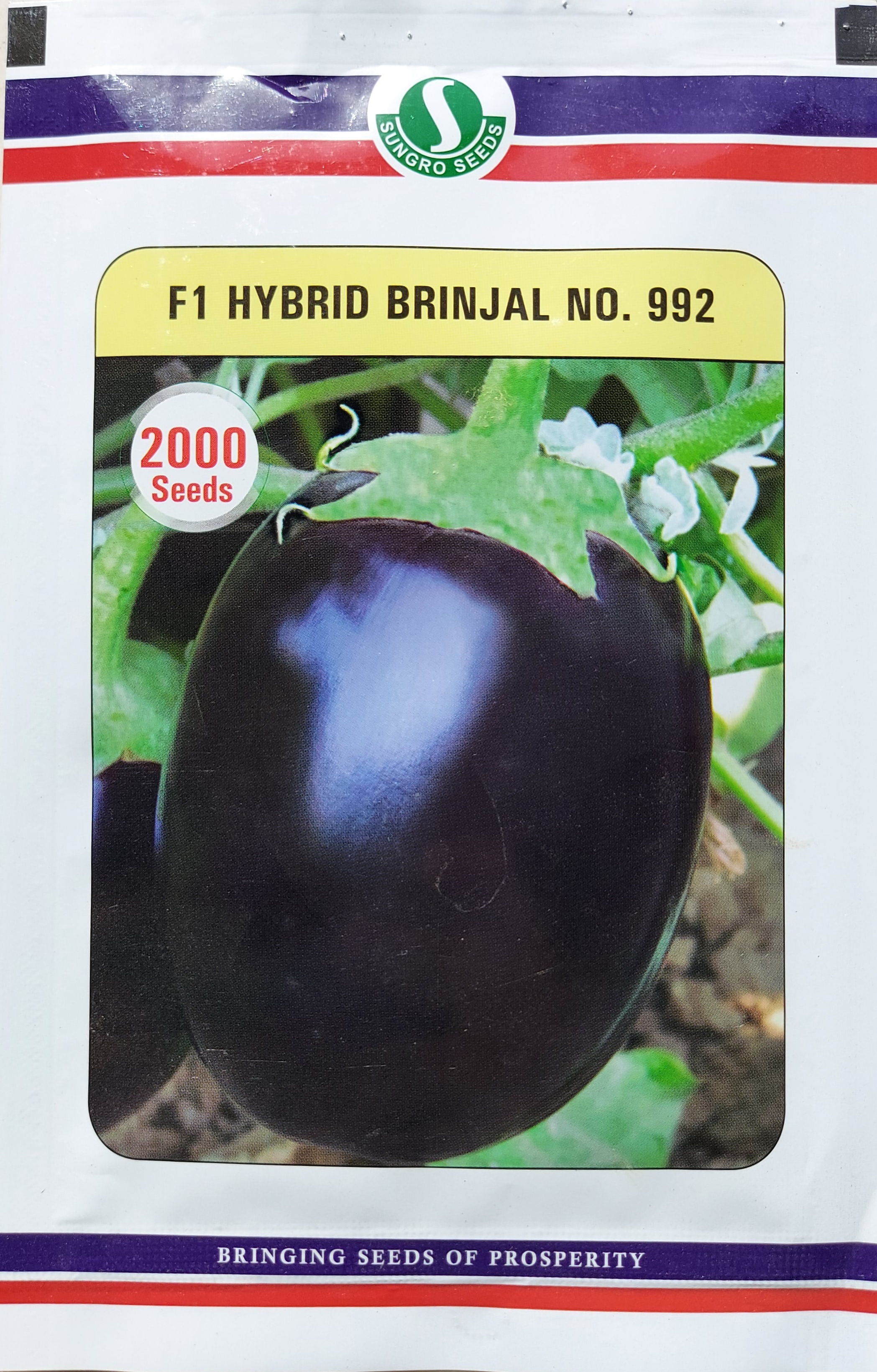 Brinjal No 992 (Sungro Seeds)