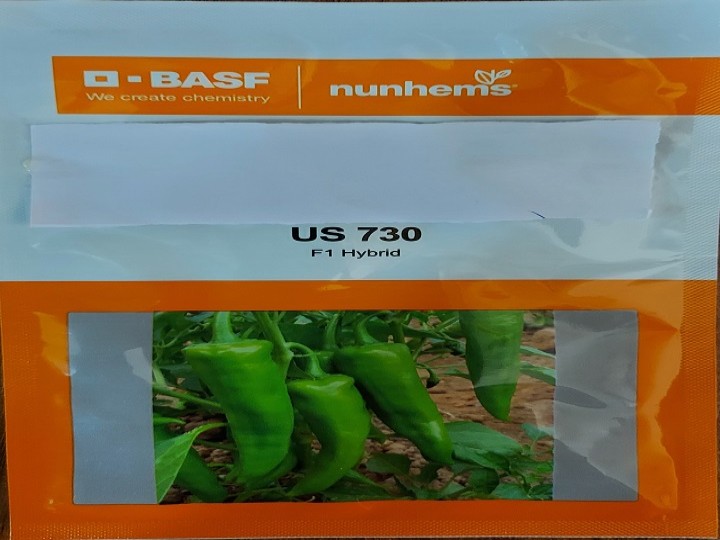 Chilli US 730 (Nunhems Seeds)