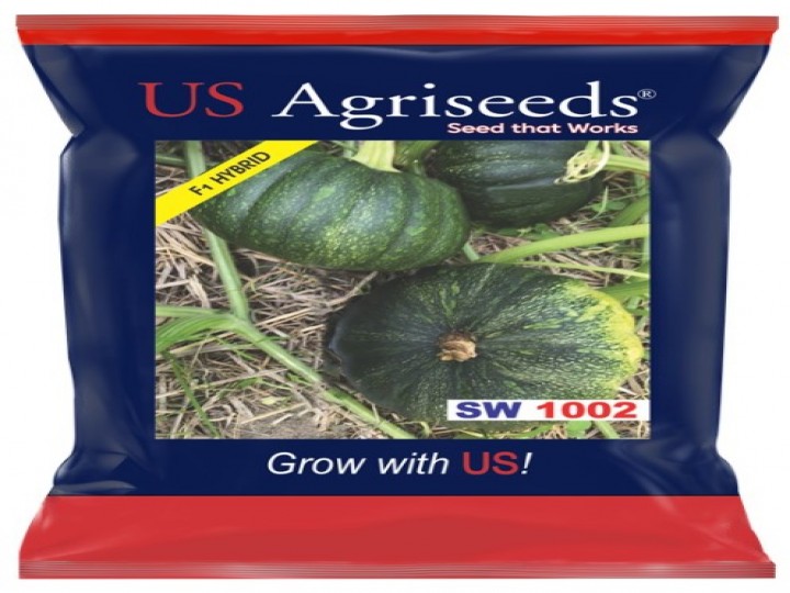 Pumpkin SW 1002 (US Agri Seeds)