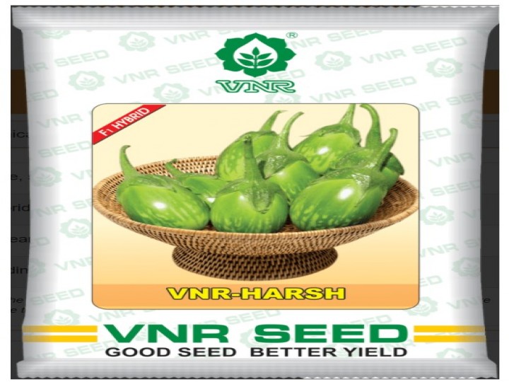 Brinjal Harsh (VNR Seeds)