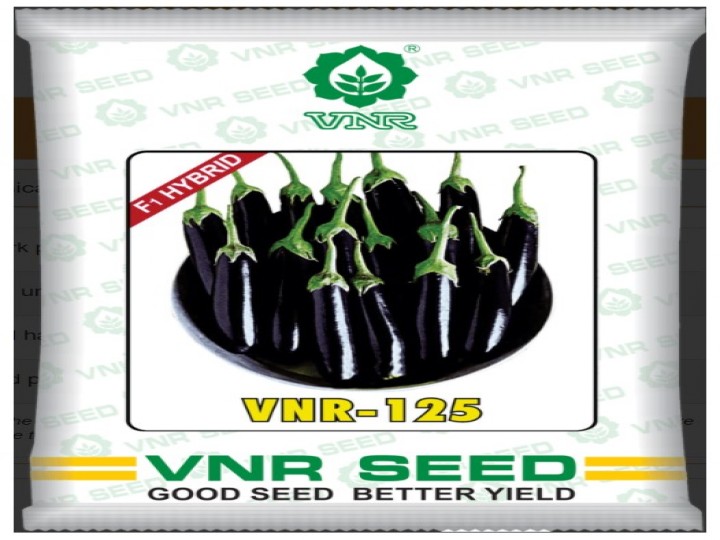 Brinjal VNR 125 (VNR Seeds)