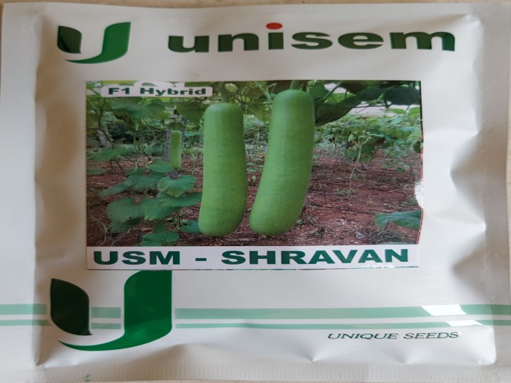 Bottle Gourd USM Shravan (Unisem Seeds)