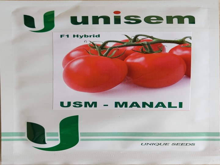 Tomato USM Manali (Unisem Seeds)