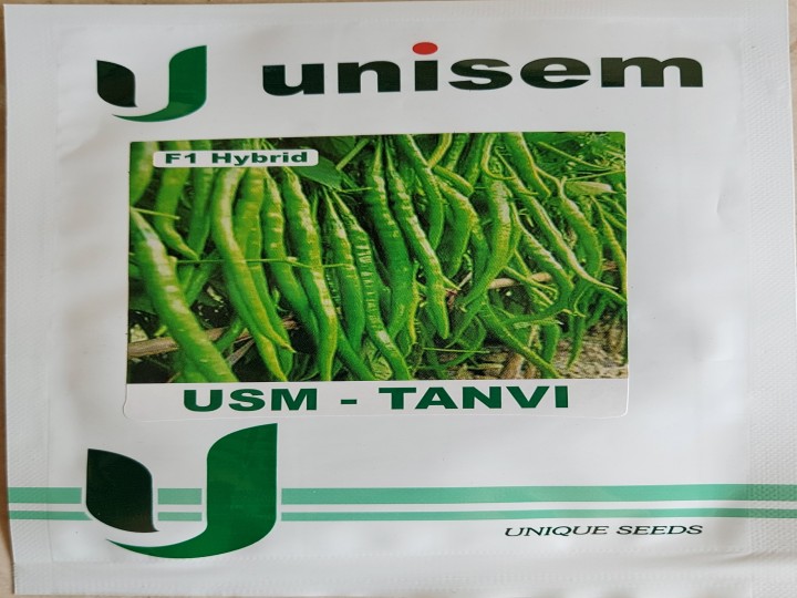 Chilli USM Tanvi (Unisem Seeds)