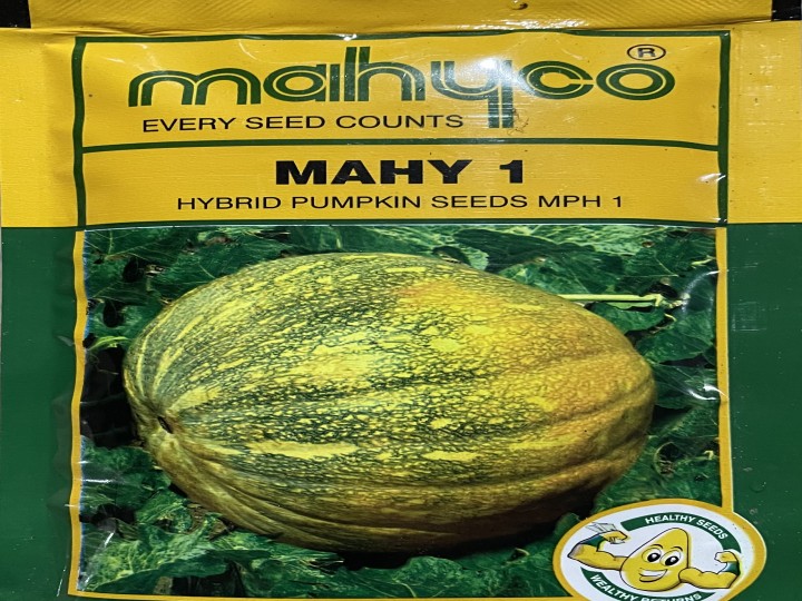 Pumpkin Mahy 1 MPH 1 (Mahyco Seeds)