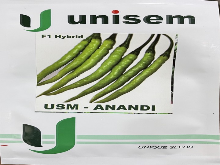 Chilli USM Anandi (Unisem Seeds)