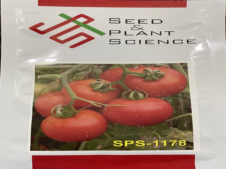 Tomato SPS 1178 (SPS)