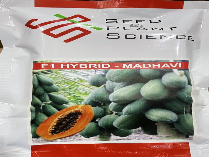 Papaya Madhavi (SPS)