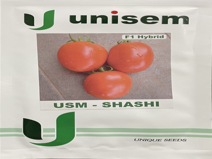 Tomato USM Shashi (Unisem Seeds)
