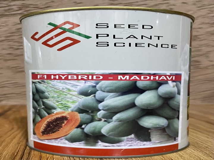 Papaya Madhavi (SPS)