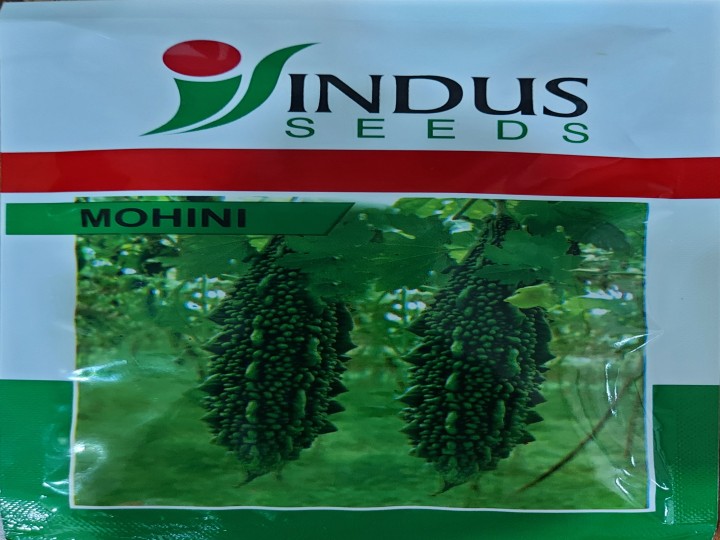 Bitter Gourd Mohini (Indus Seeds)