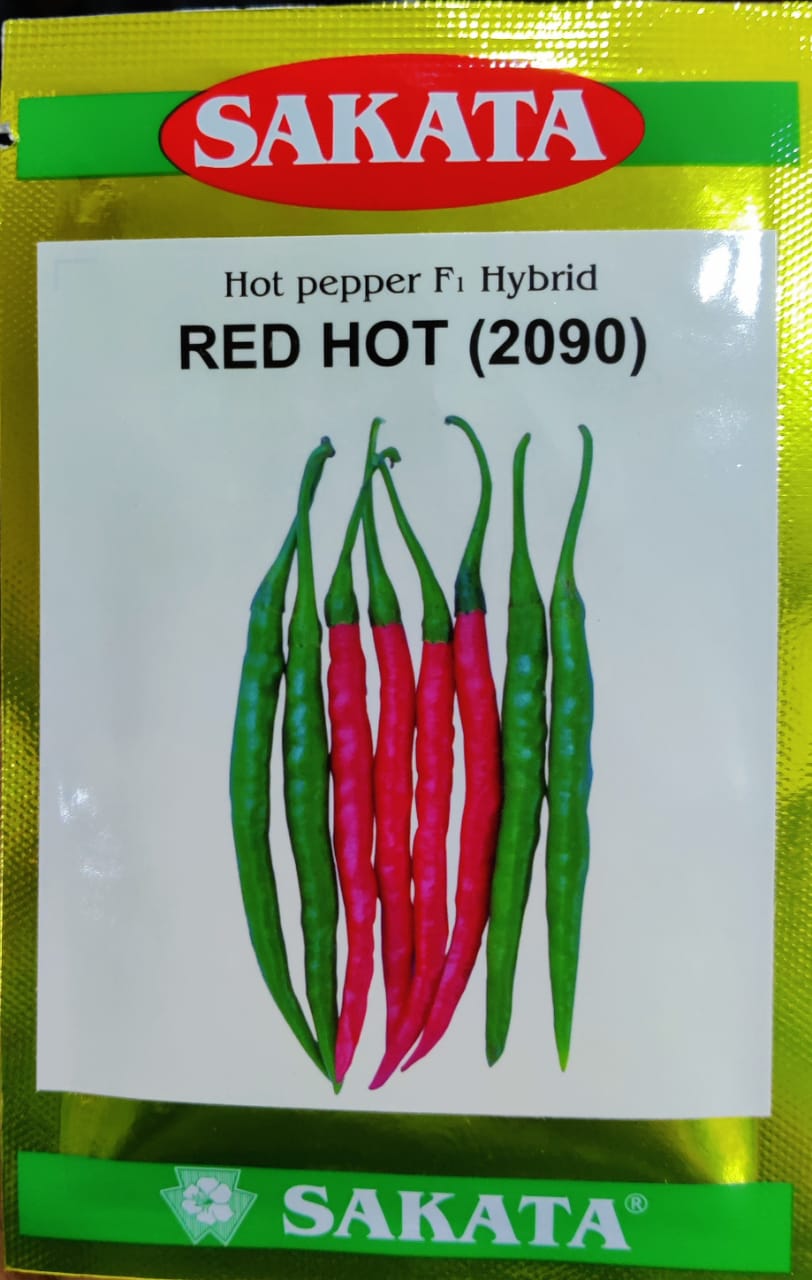 Chilli Red Hot 2090 (Sakata Seeds)