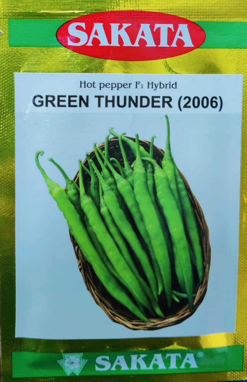 Chilli Green Thunder 2006 (Sakata Seeds)
