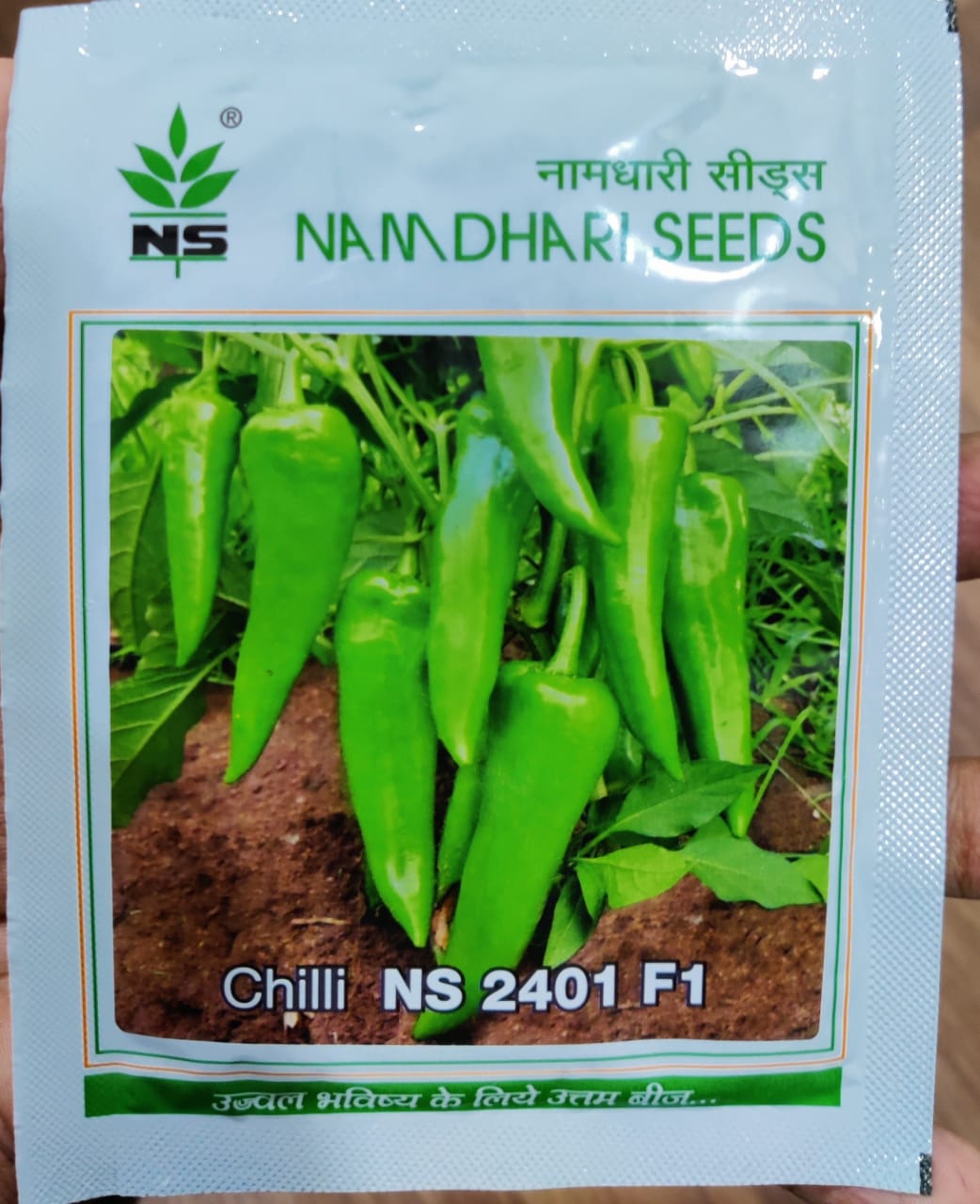 Chilli NS 2401 (Namdhari Seeds)