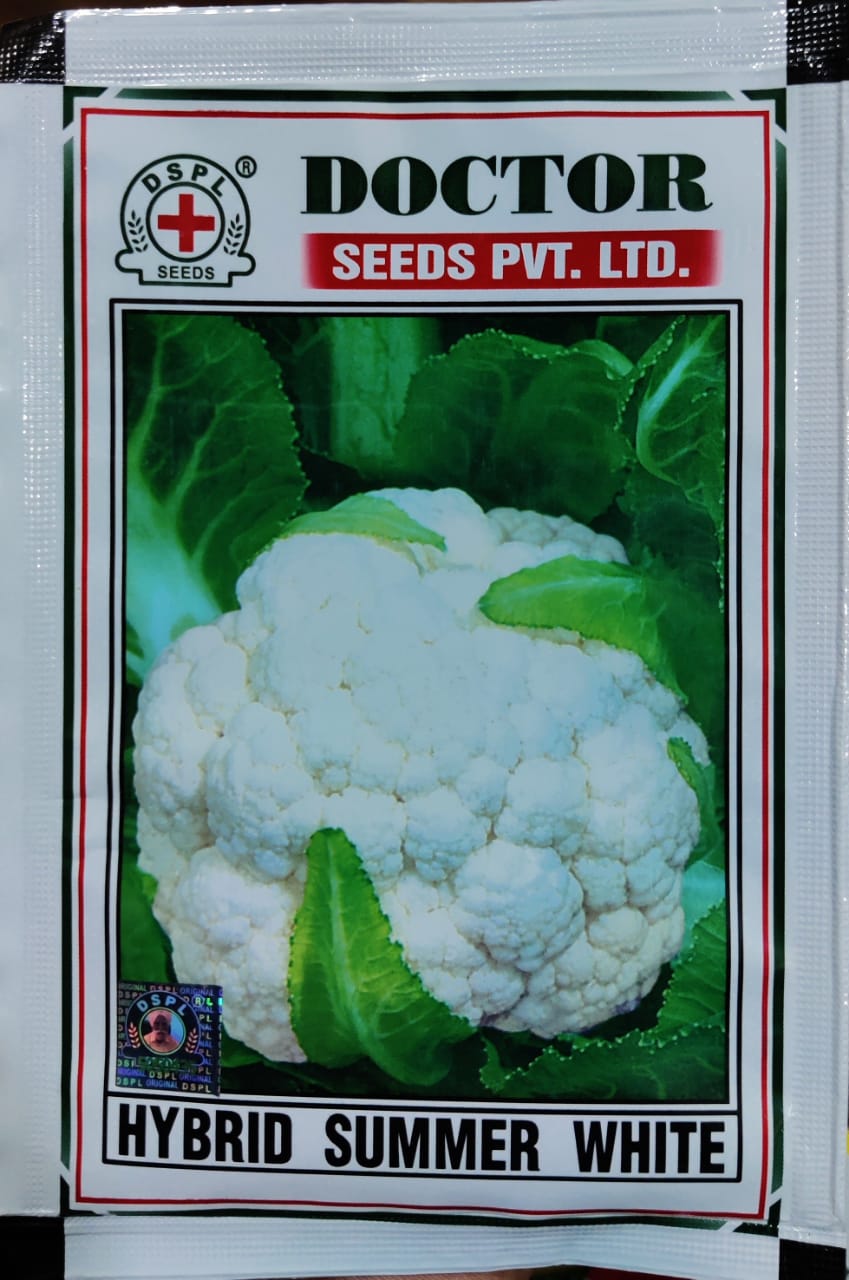 Cauliflower Summer White (Doctor Seeds)