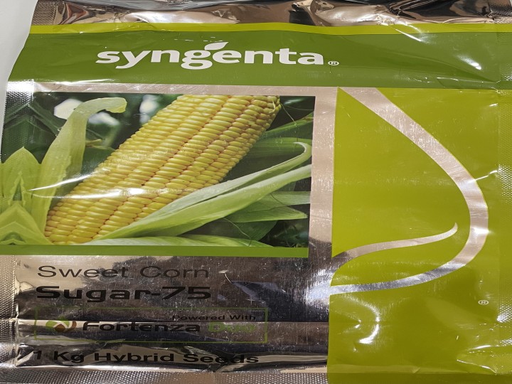 Sweet Corn Sugar 75 (Syngenta Seeds)