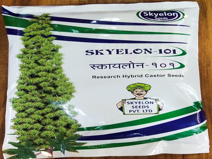 Castor Skyelon 101 (Skyelon Seeds)