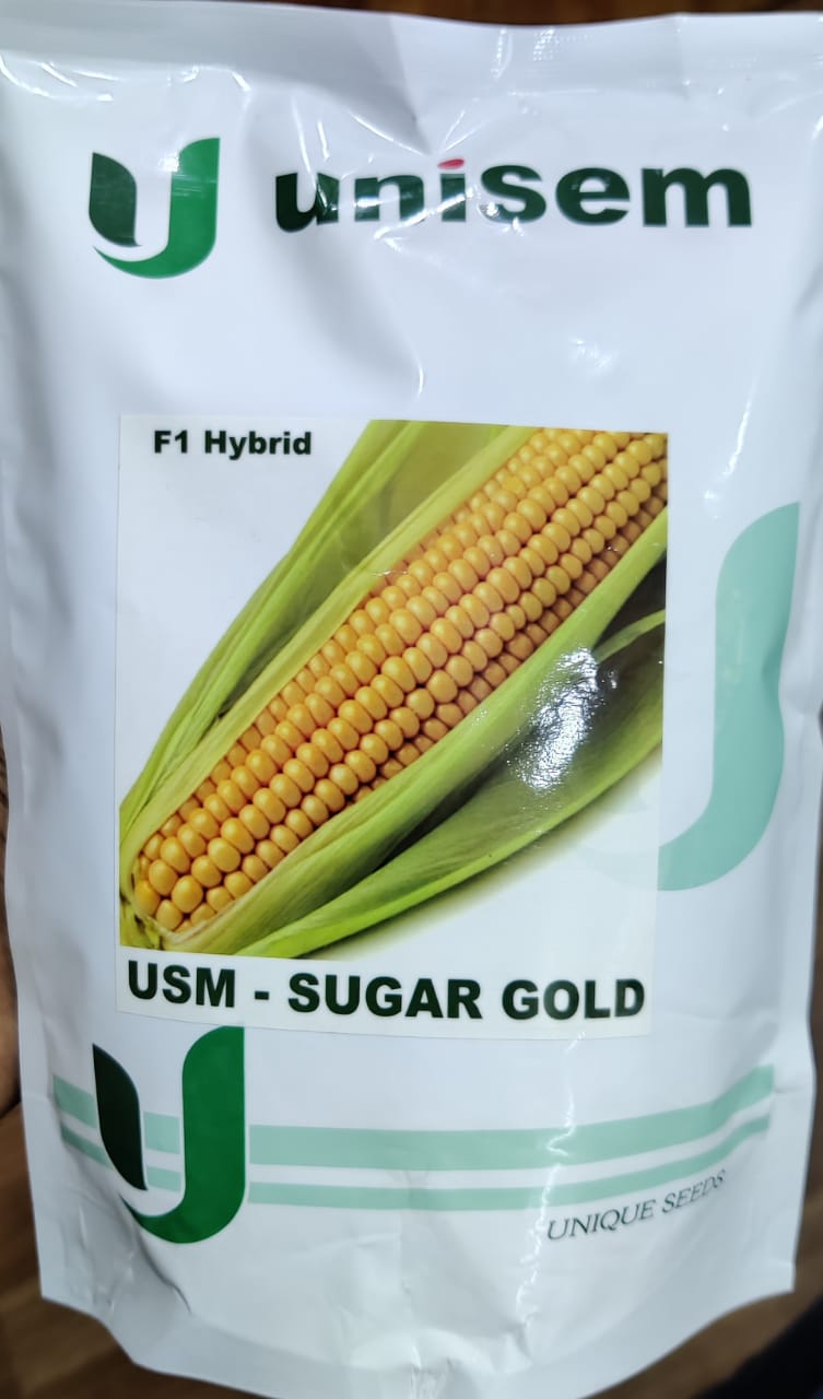 Sweet Corn Sugar Gold (Unisem Seeds)