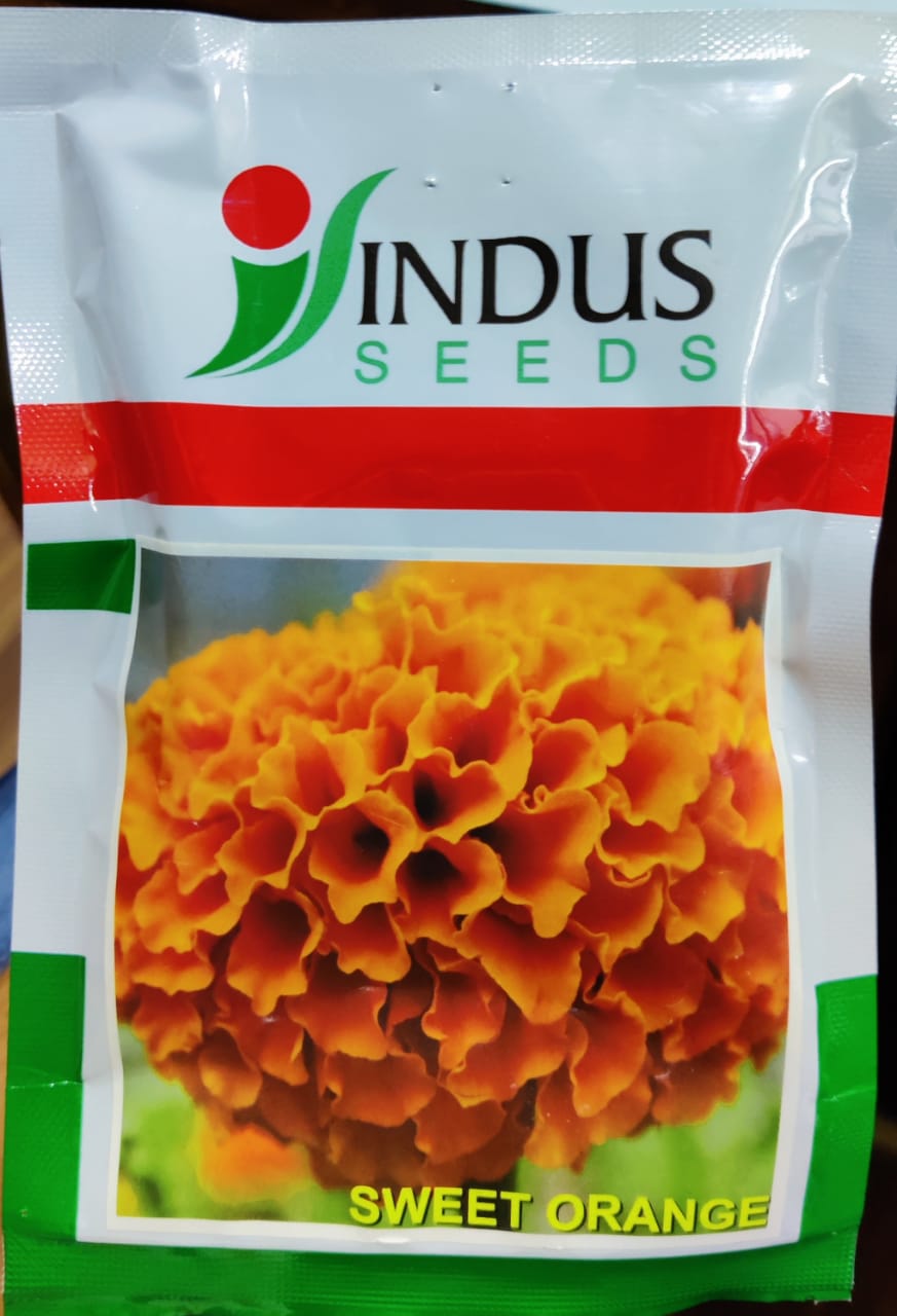 Marigold Sweet Orange (Indus Seeds)