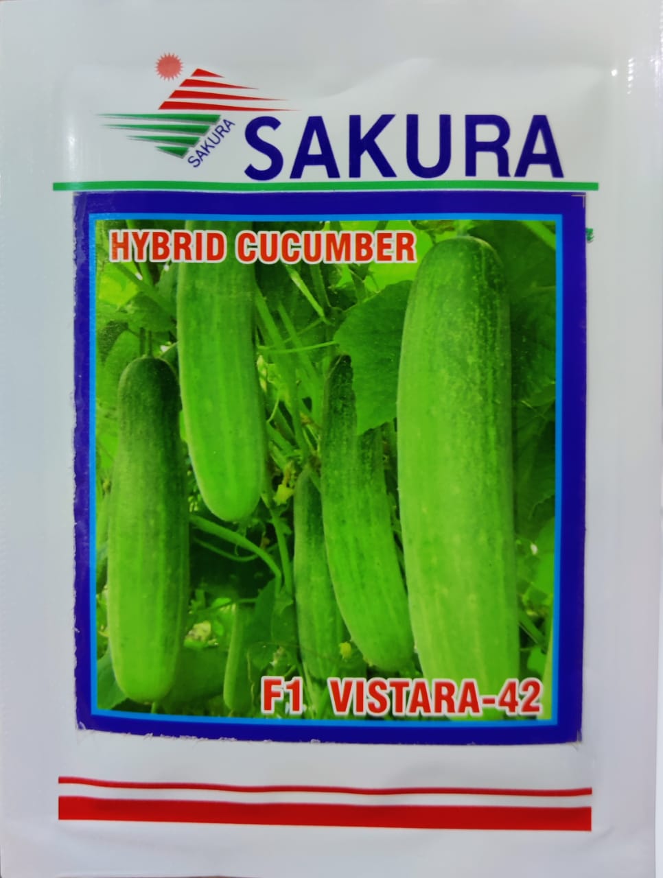 Cucumber Vistara 42 (Sakura Seeds)