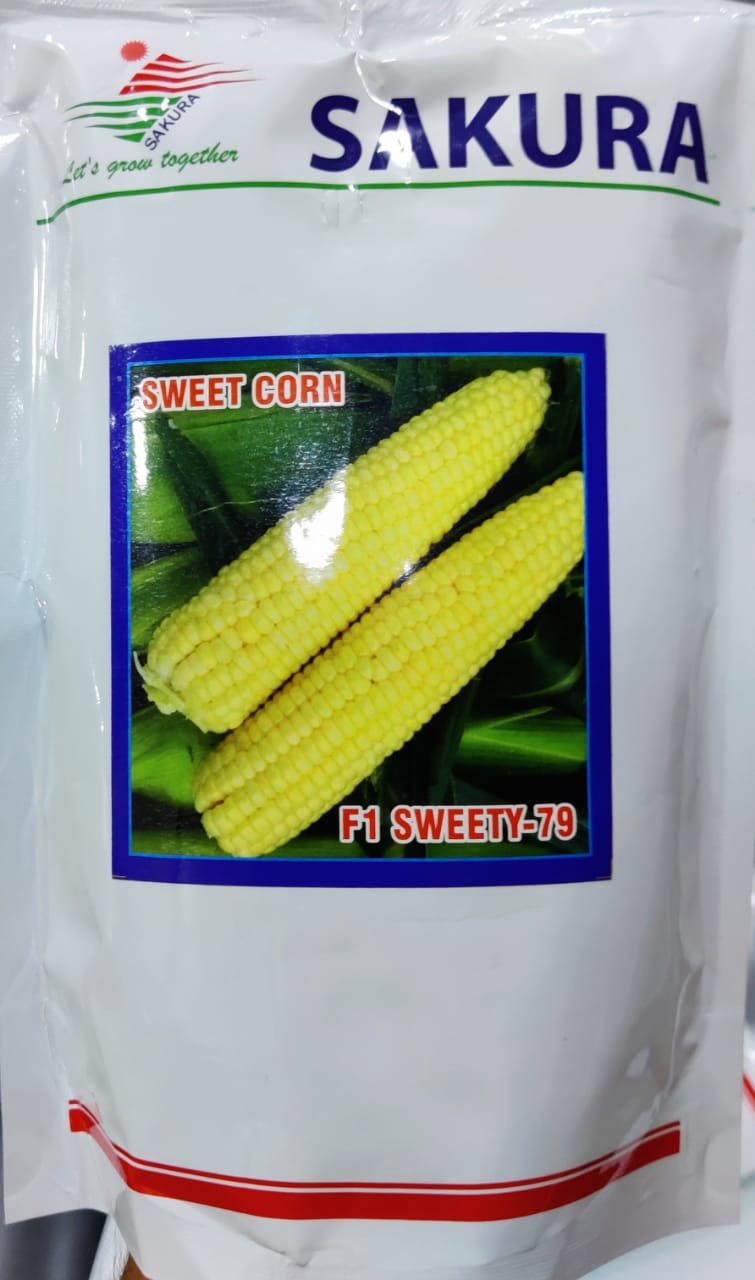 Sweet Corn Sweety 79 (Sakura Seeds)
