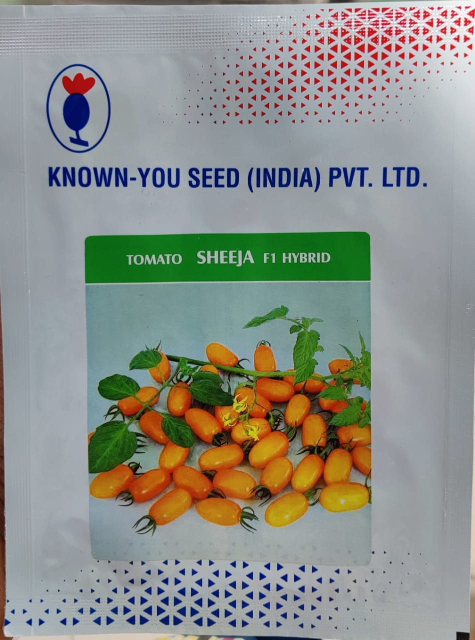 Tomato Sheeja (Known You Seed)