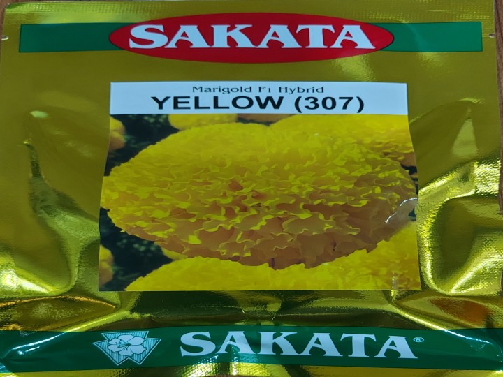 Marigold Yellow 307 (Sakata Seeds)