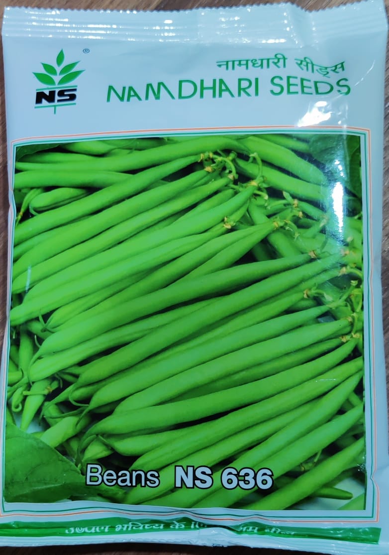 Beans NS 636 (Namdhari Seeds)