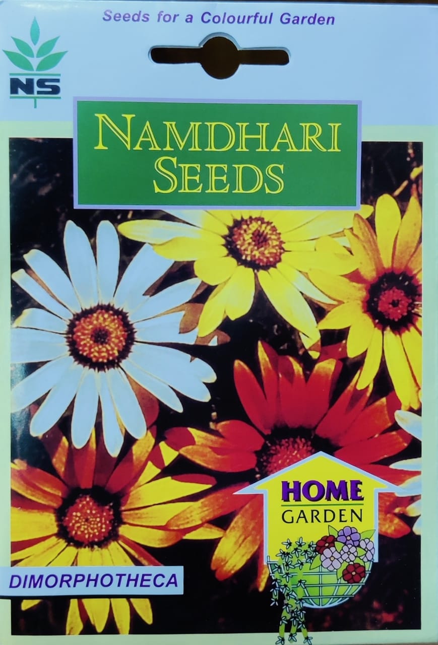 Dimorphotheca Mix (Namdhari Seeds)