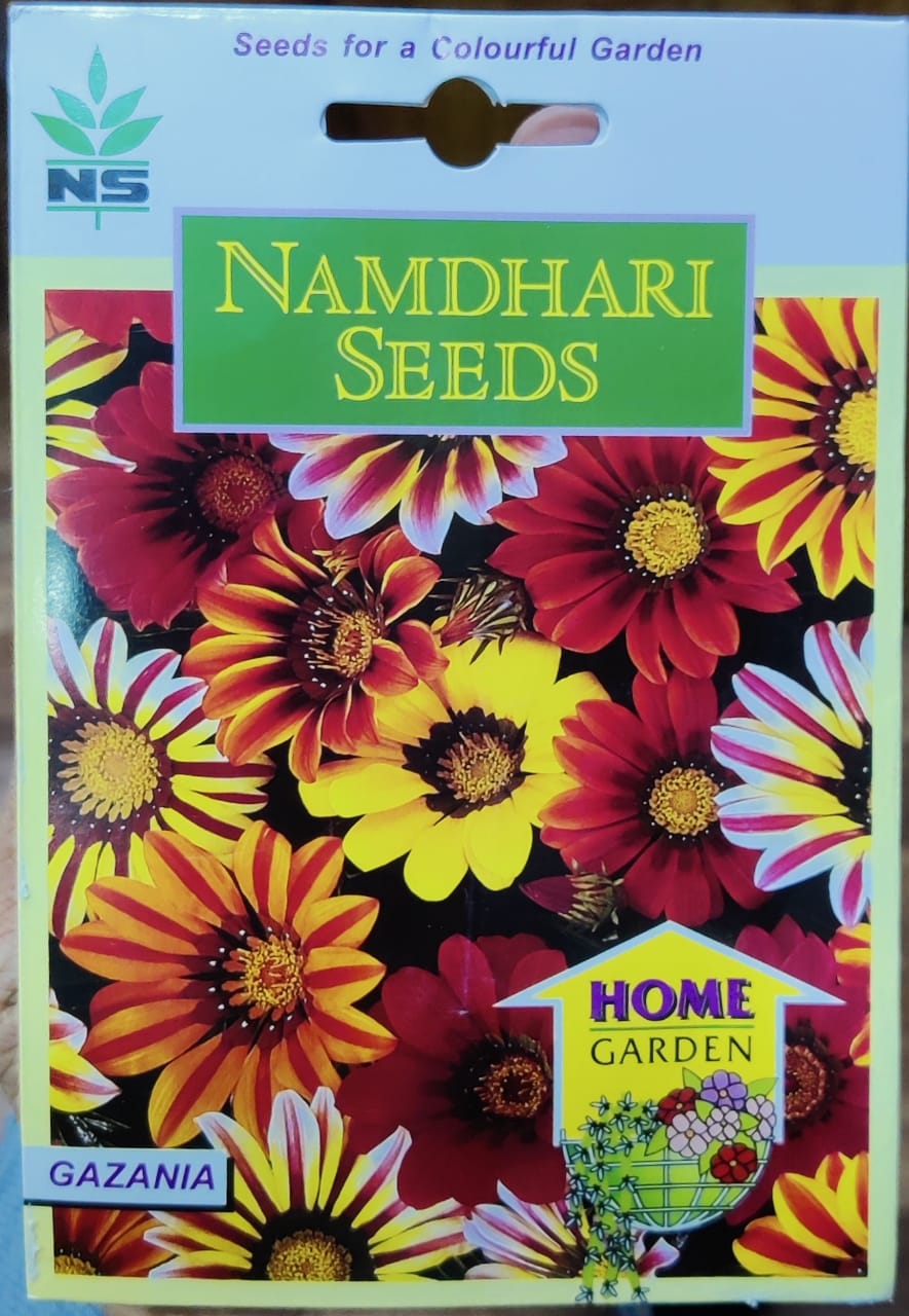 Gazania Kiss Mix (Namdhari Seeds)