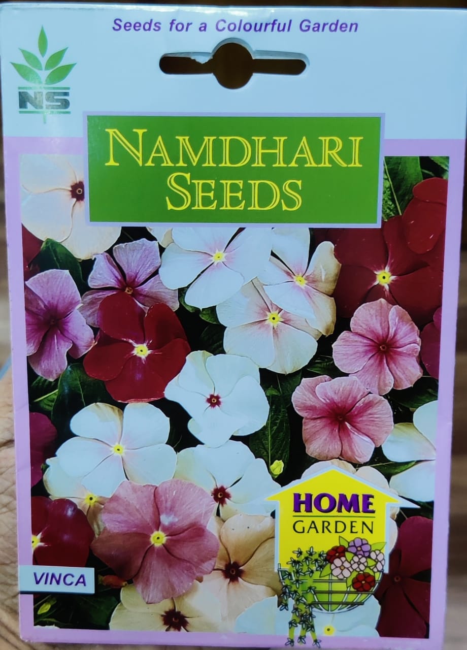 Vinca Pacifica Mix (Namdhari Seeds)