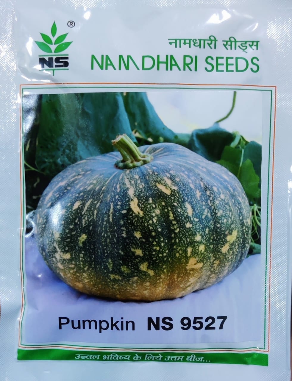 Pumpkin NS 9527 (Namdhari Seeds)