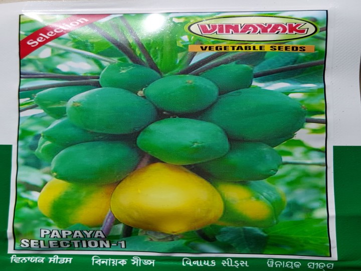 Papaya Selection-1 (Vinayak Seeds)