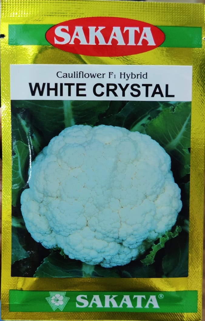 Cauliflower White Crystal (Sakata Seeds)