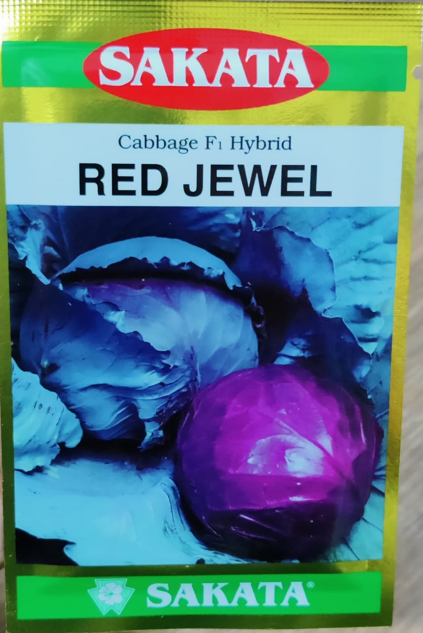 Cabbage Red Jewel (Sakata Seeds)